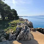 Anima Mea, Zara
