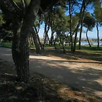 Anima Mea, Casa vacanze *