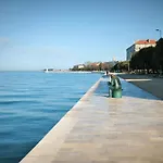 Anima Mea, Zara
