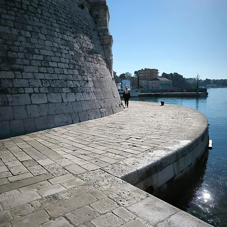 Anima Mea, *