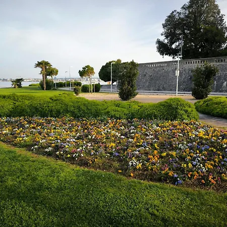 Anima Mea, Zadar