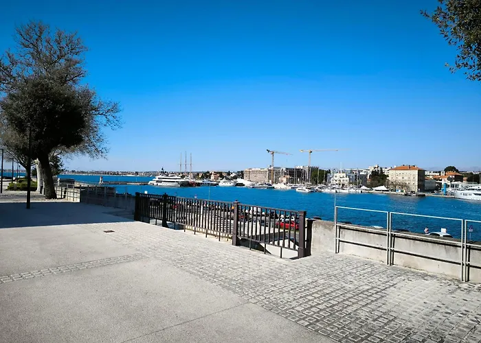 Anima Mea, זאדאר