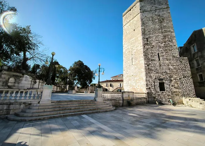 Anima Mea, זאדאר